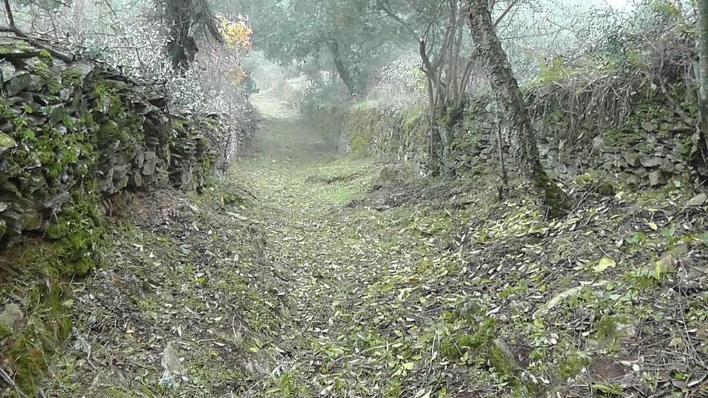 Los Montes Casa de hóspedes Casas de Miravete Exterior foto