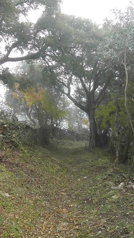 Los Montes Casa de hóspedes Casas de Miravete Exterior foto